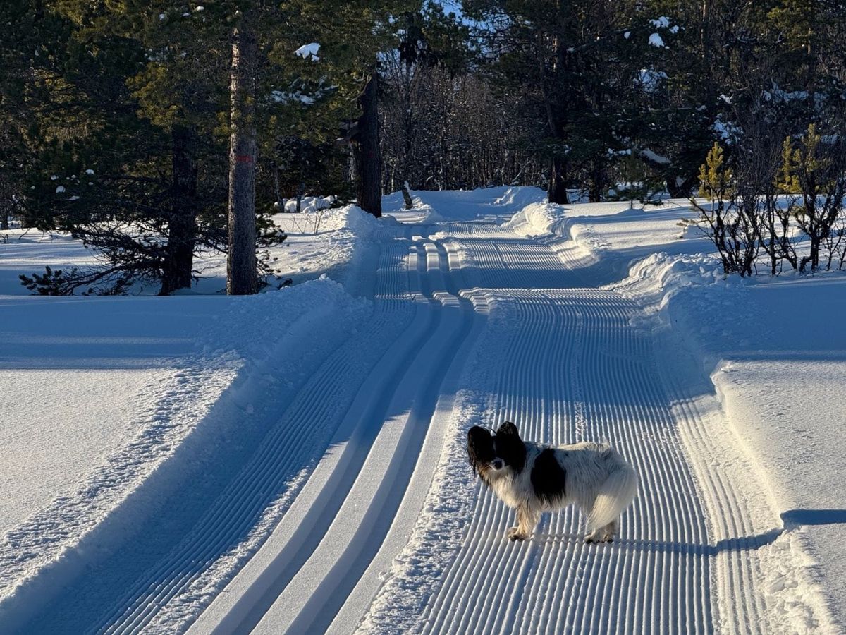 Løypemelding fredag 14. februar