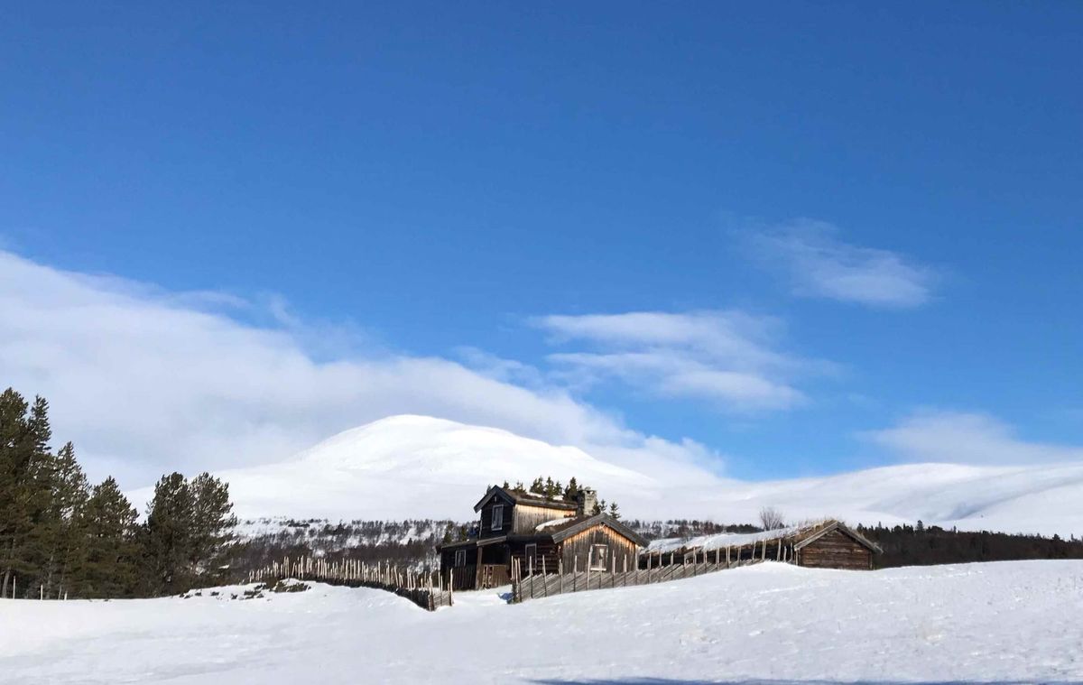 Hvem kjenner Villa Taxis på Sjølisetra?