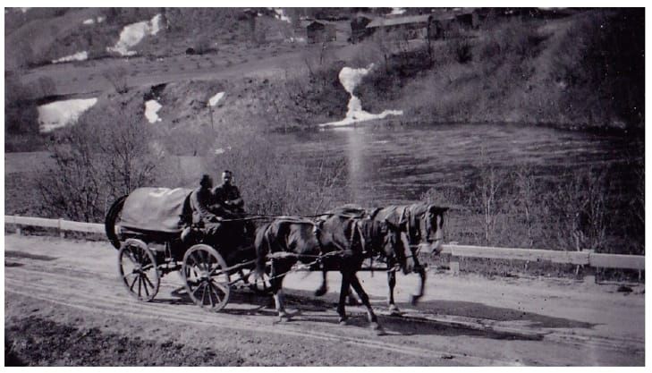 Hesten i fokus - foredrag 5. juli kl. 12.00