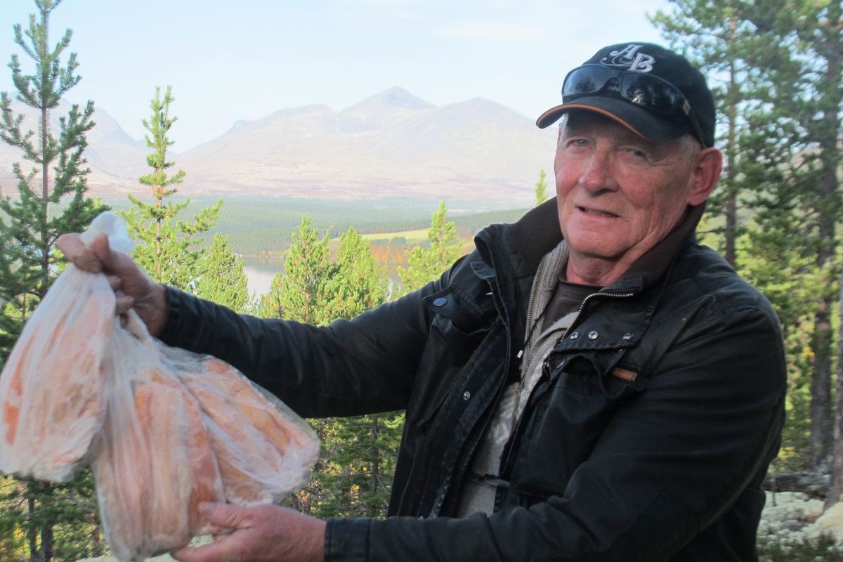 Kurs i filetering av fisk