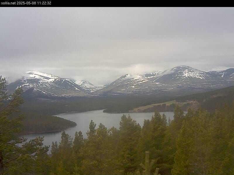 Sollia.net er i drift igjen