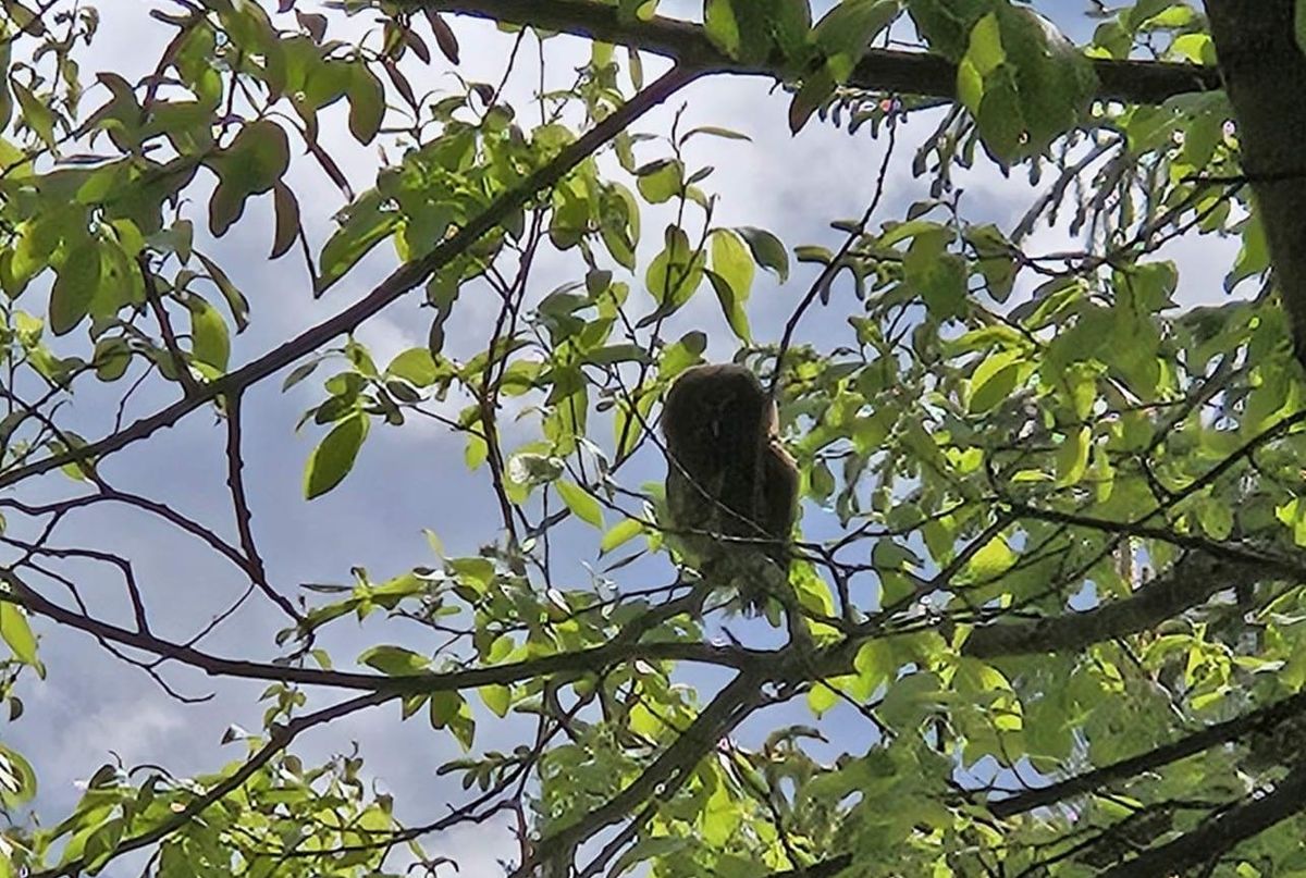 Det yrer av nytt liv
