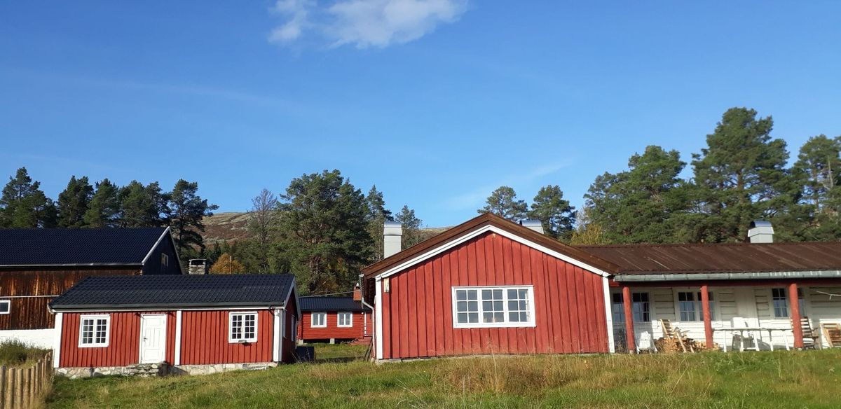 Fileteringskurset på Sør-Nesset