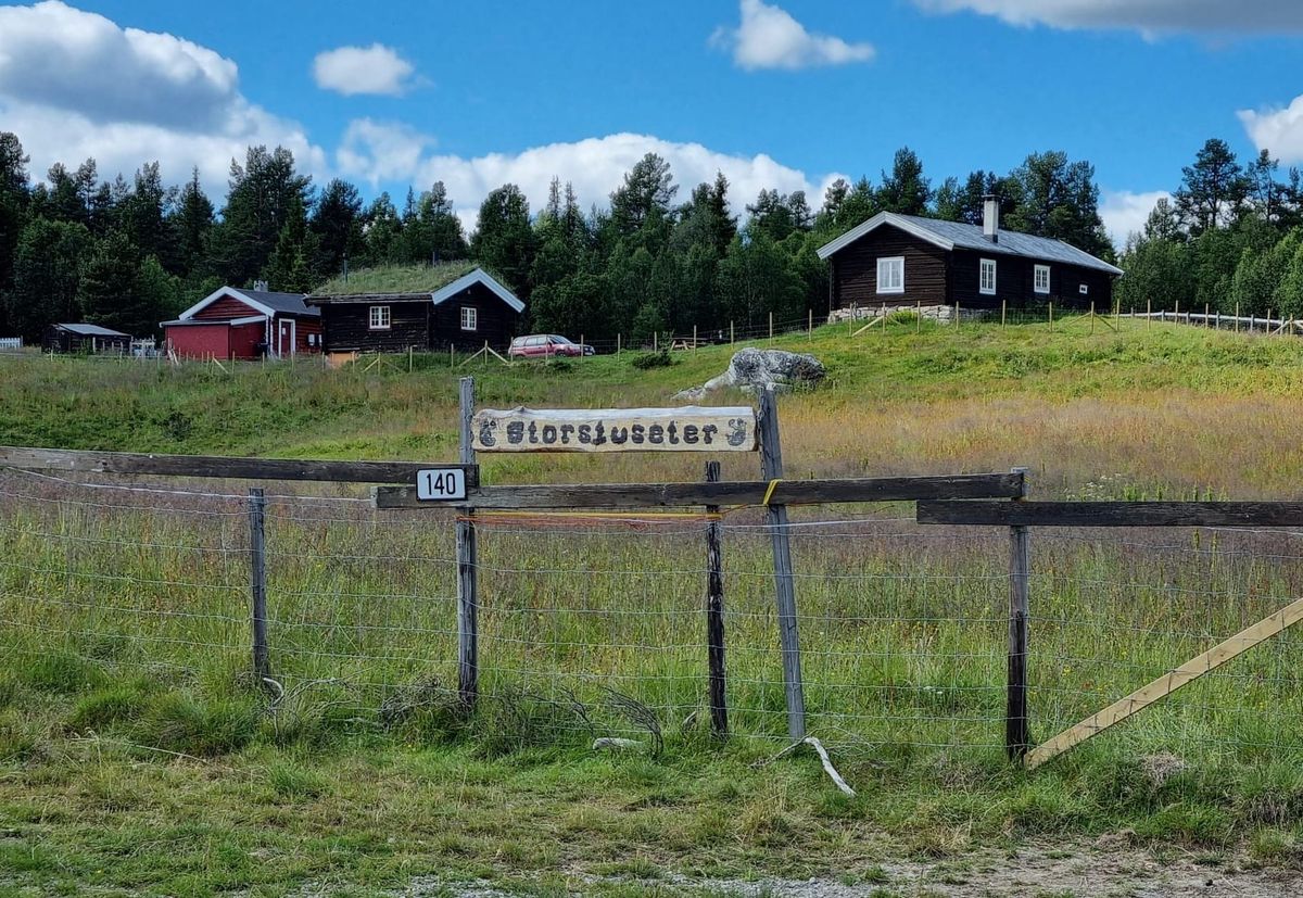 På seterbesøk (2 av 2)