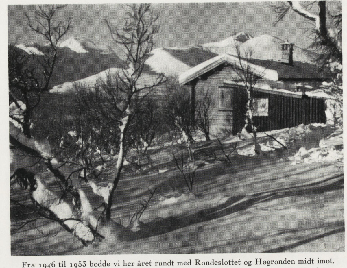 Ukas historiske bilde - uke 41