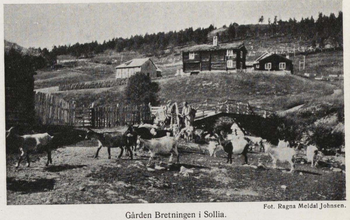 Ukas historiske bilde - uke 42