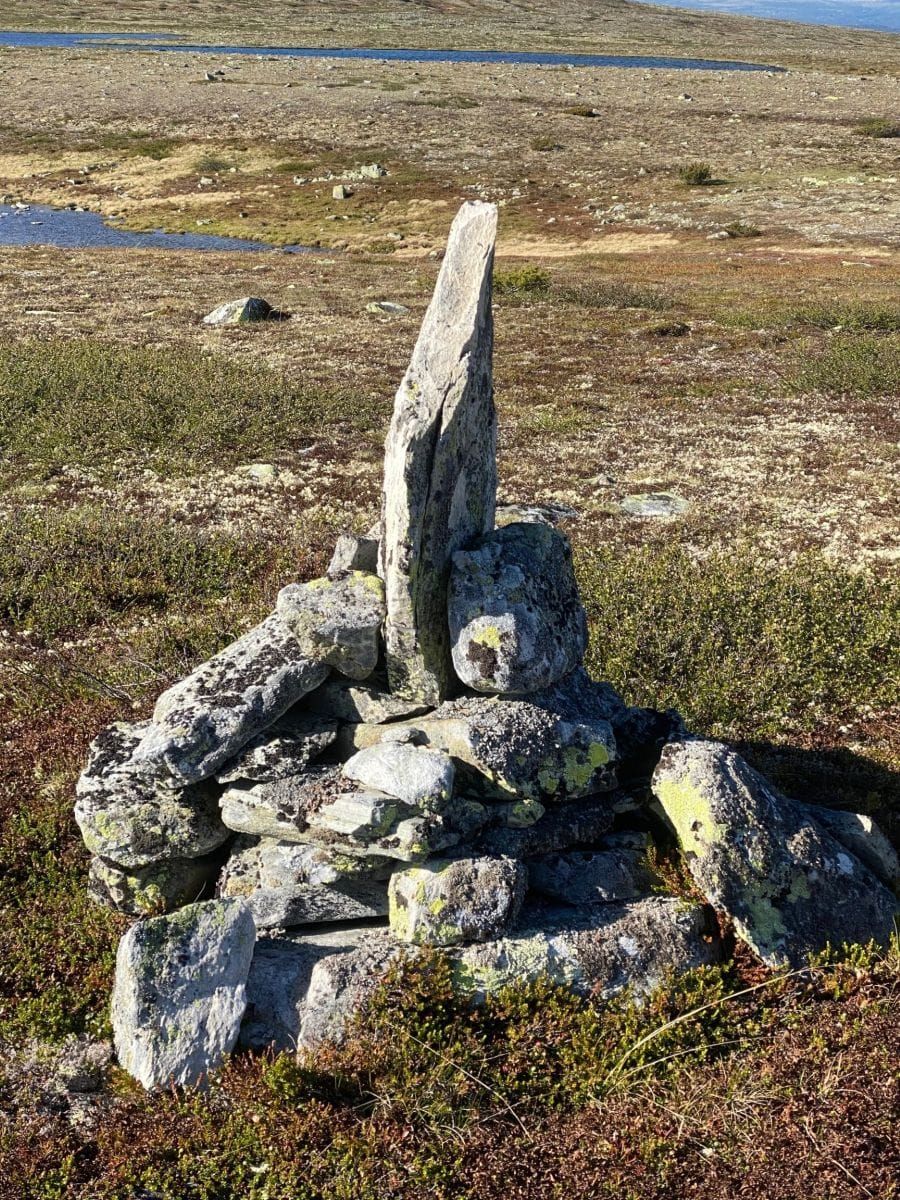 Varde eller ikke varde - det er spørsmålet ...