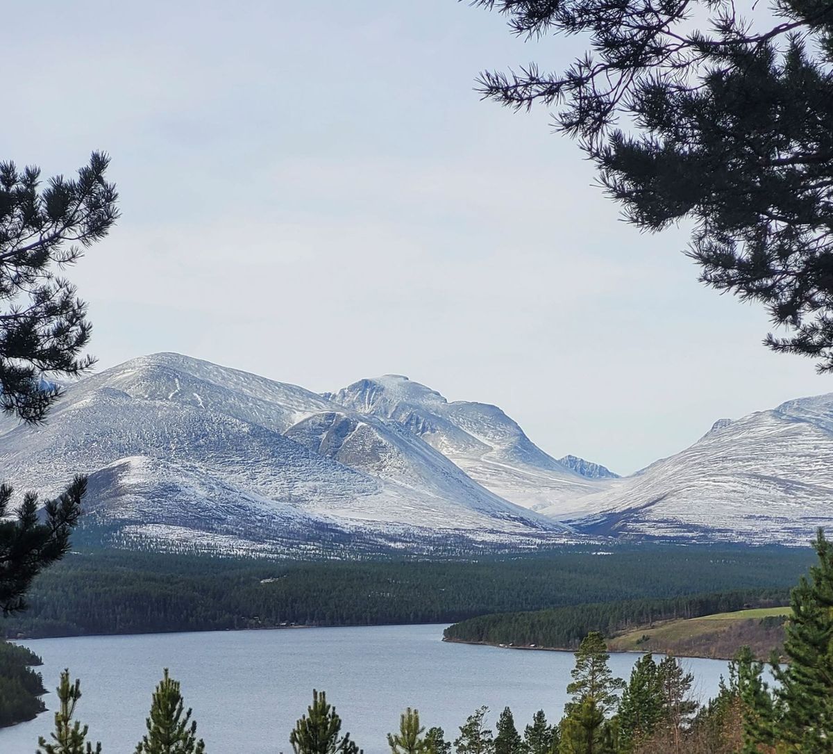 Det skjer litt av hvert