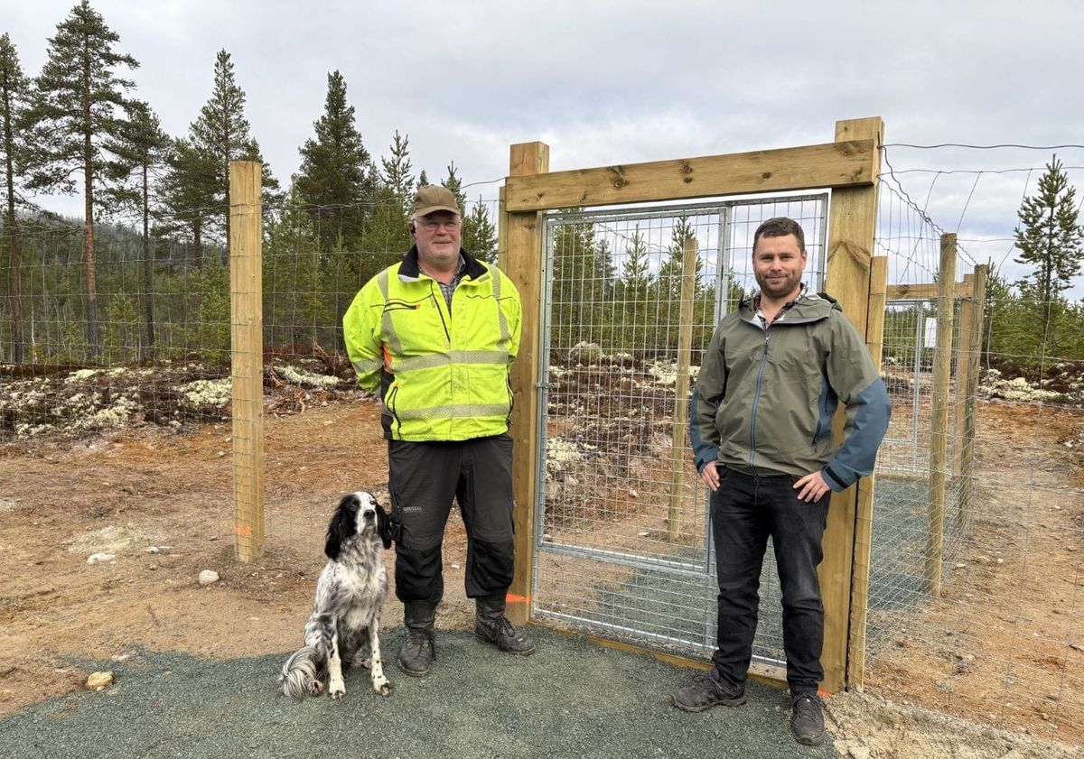 En gladsak for våre firbente venner