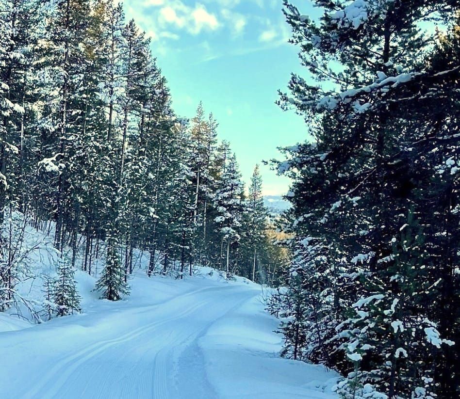 Første tur med løypemaskina
