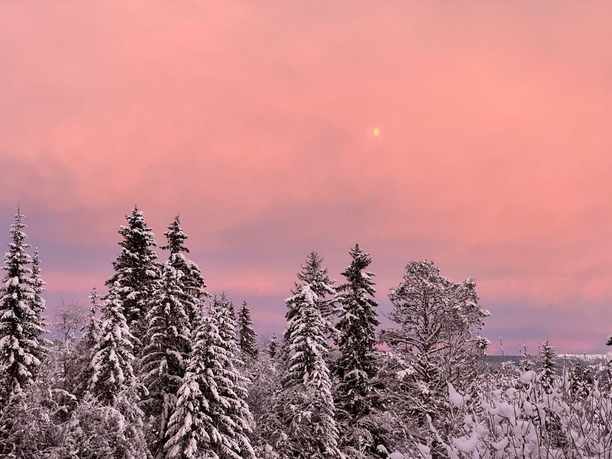 Januarbilder