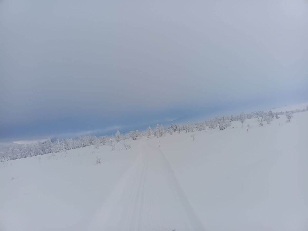 Løypemelding fredag 23. januar