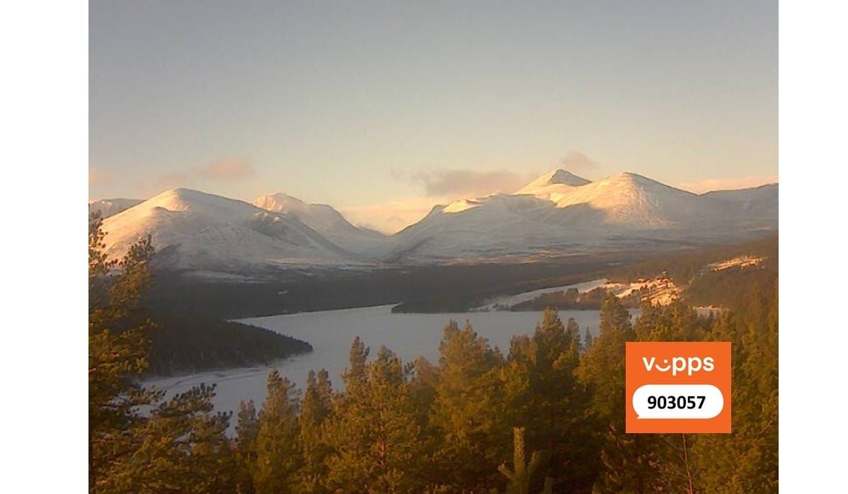 Webkameraet er i drift igjen