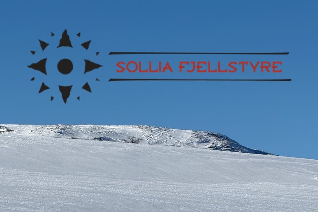 Fra fjellstyremøtet 17. mars