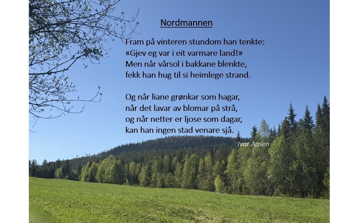 Junidiktet