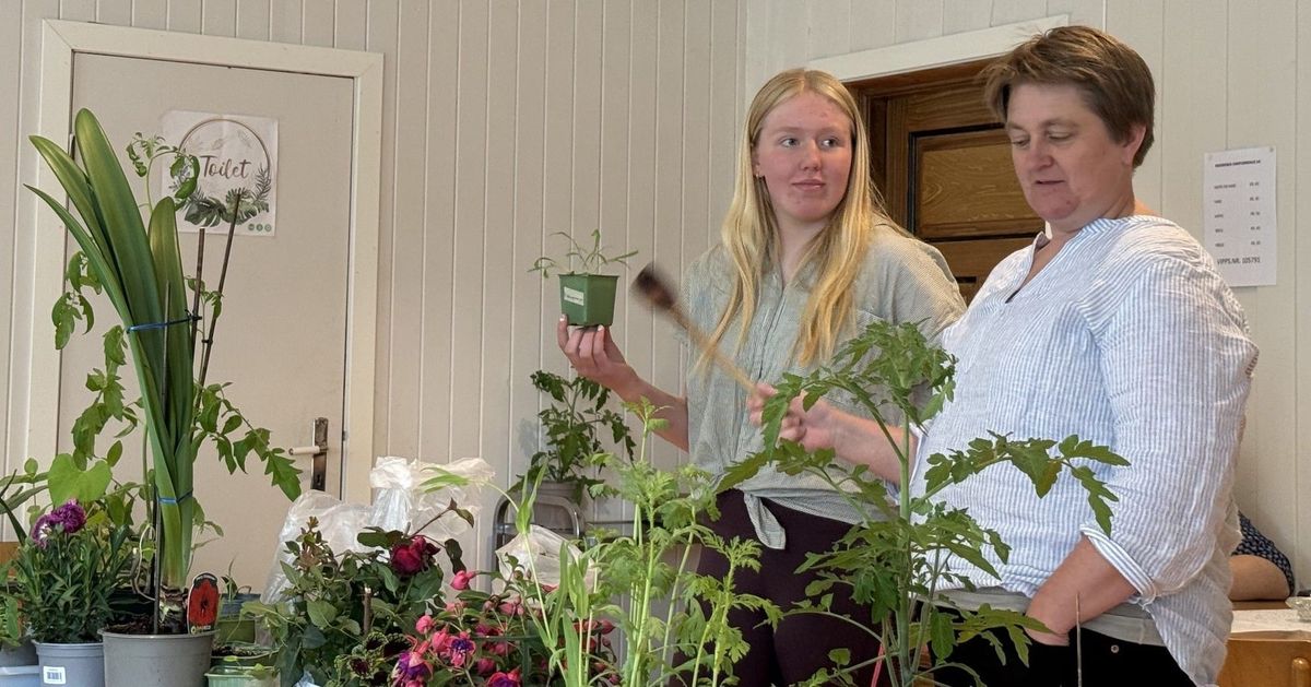 Trivelig blomsterauksjon