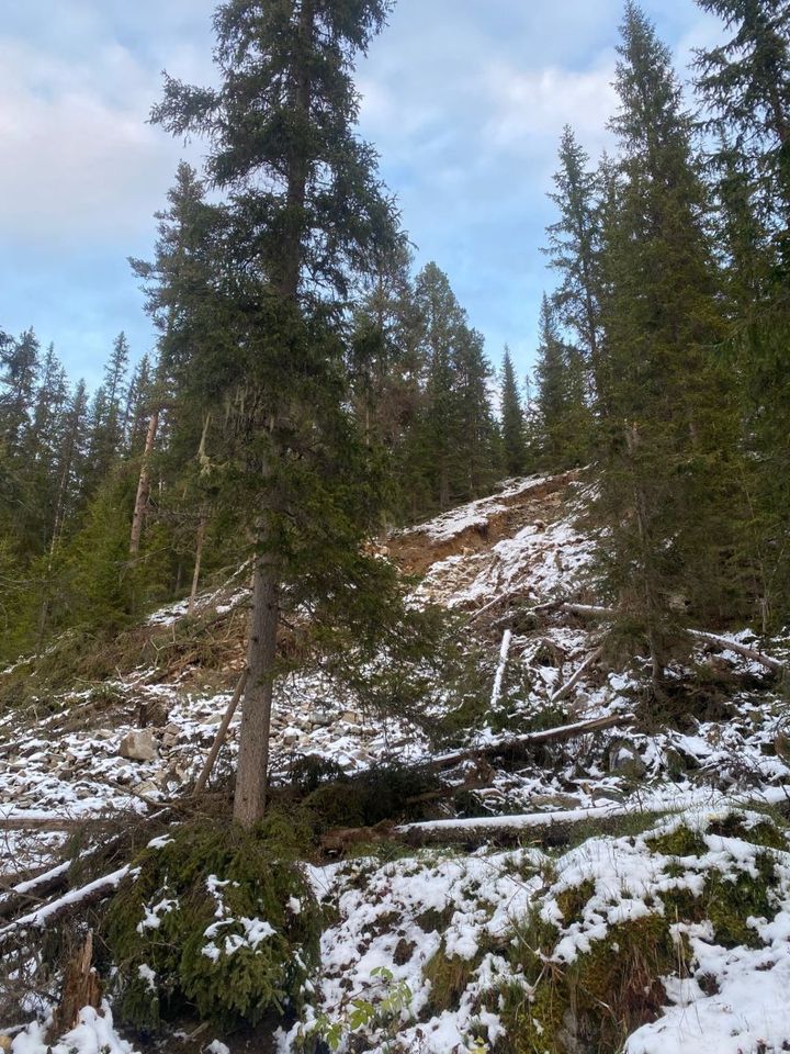 Nå er det snart for sent å søke