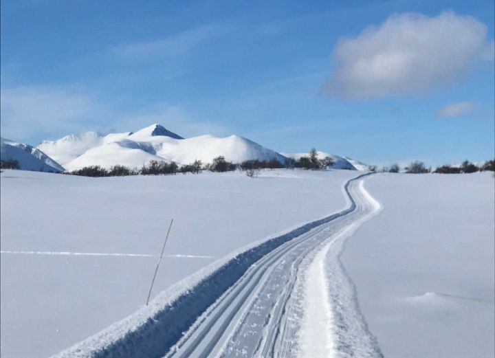 Skiløyper 15. november