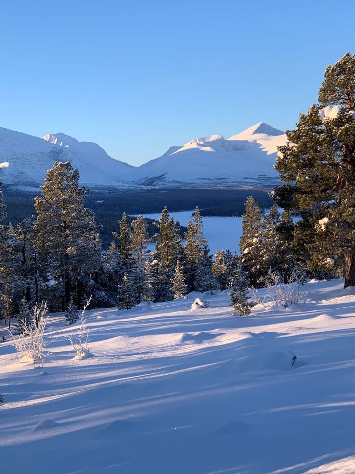 En vinterdag i Rondane