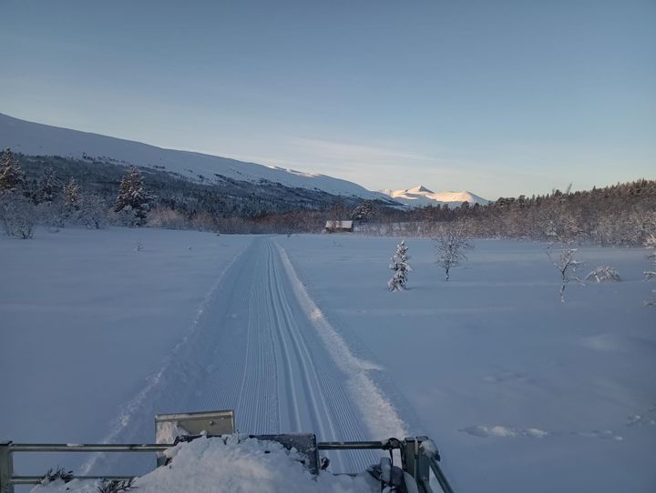 Skiløyper lørdag 20. januar