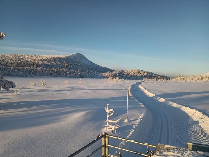 Skiløyper torsdag 4. januar