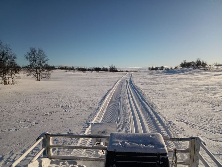 Skiløyper fredag 26. januar