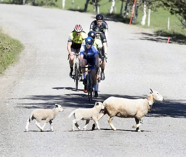 Lokale deltagere i Styrkeprøven