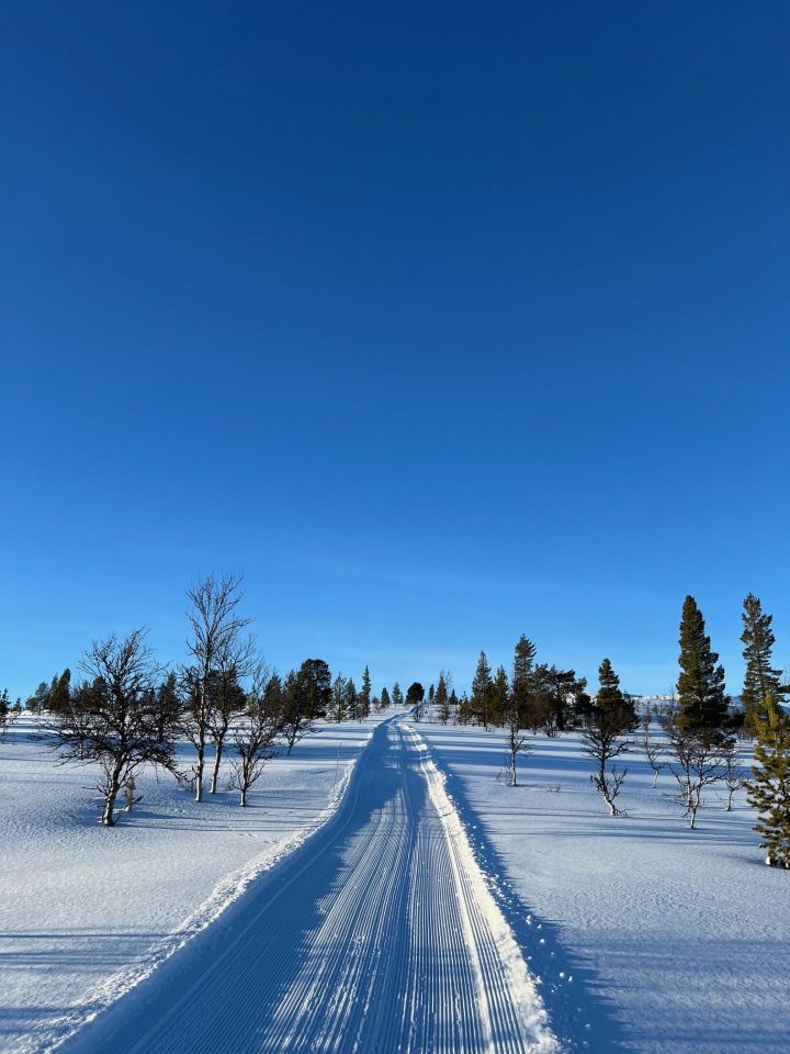 Skiløyper onsdag 7. februar