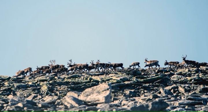 Sti- og løypeplan engasjerte mange