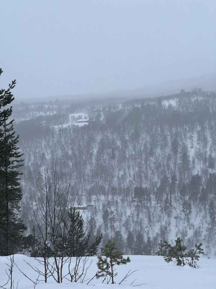 Skiløyper lørdag 3. februar