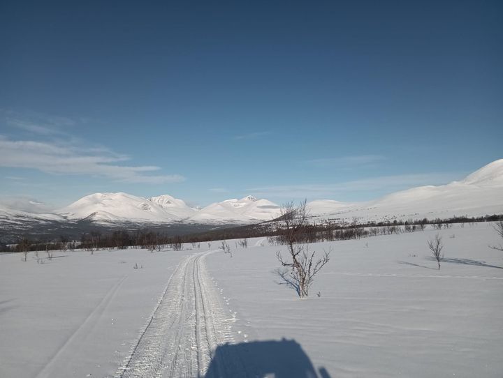 Løyper lørdag 30. mars