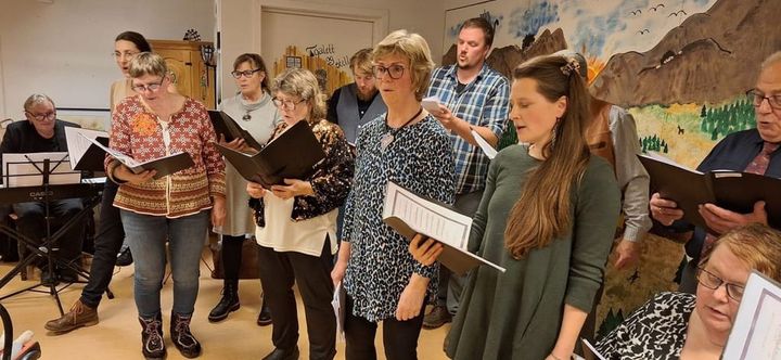 Ravnekoret (Corvus Corax) landet på "Påtår'n" skuddårskvelden