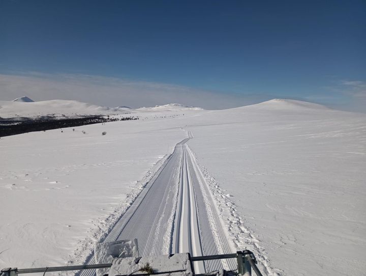 Årsmøte i Bjørkebollen turforening fredag 10. mai
