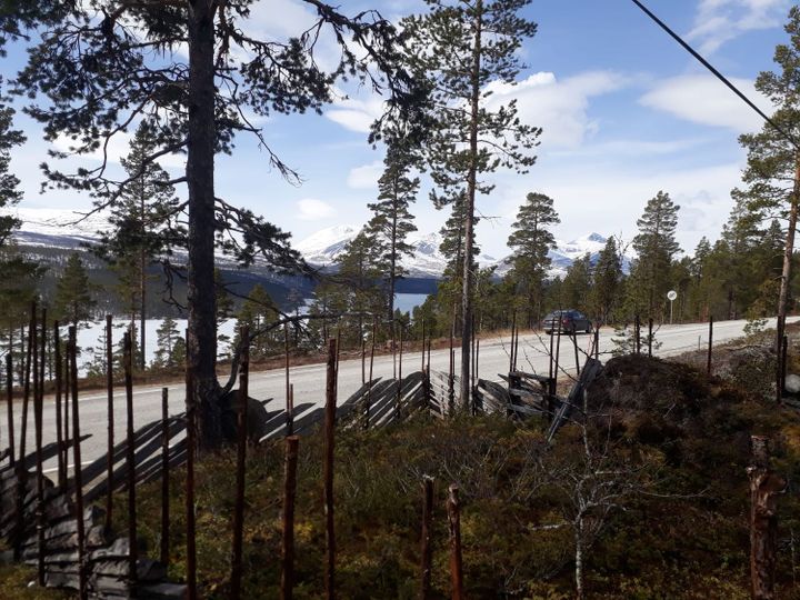 Blesterovnen ved fylkesvei 27