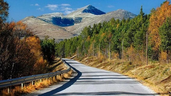 Sollia omtalt i Harvest