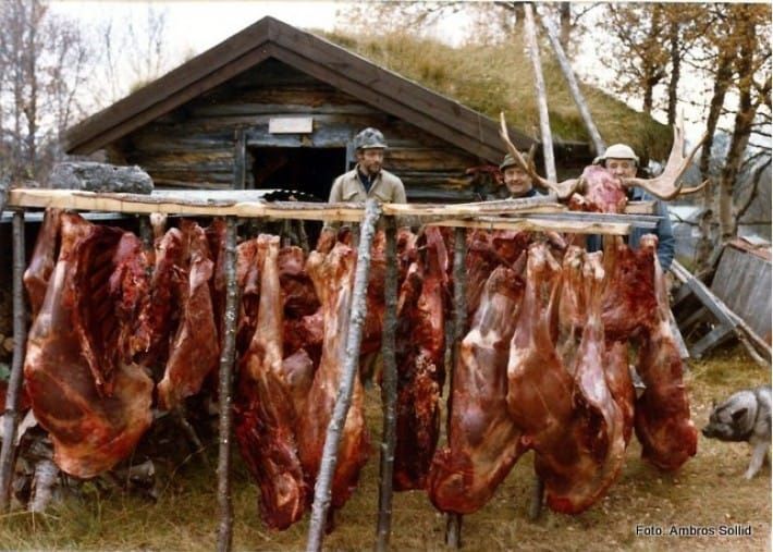 Tall fra elgjakta 2024