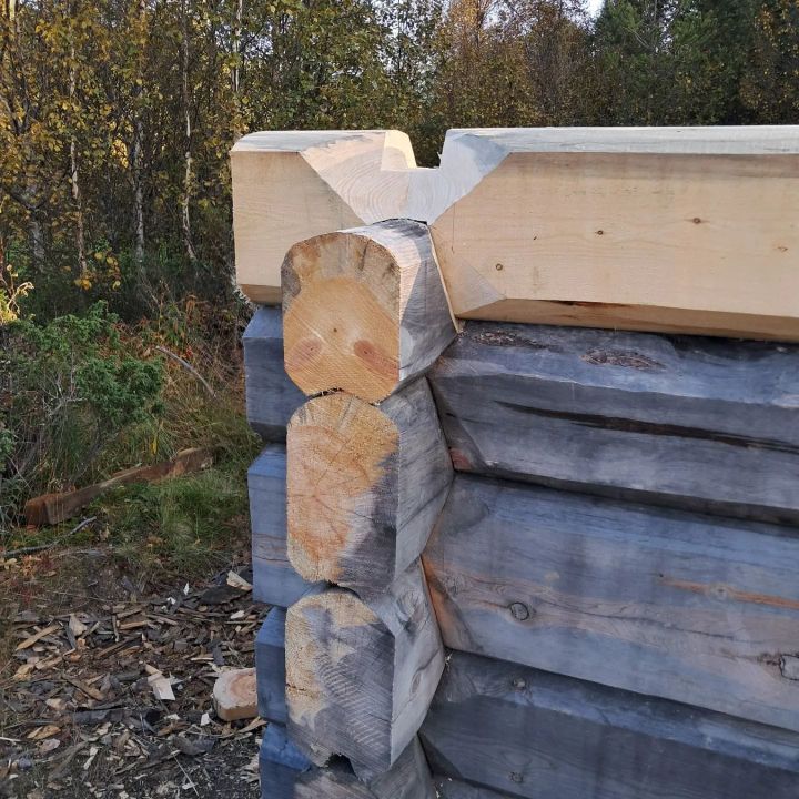 Laftekurs på Tangen 2025