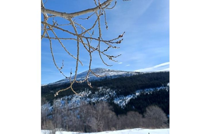 Rekordtidlig vårtegn