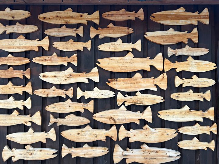 Fiskekortsalget har økt