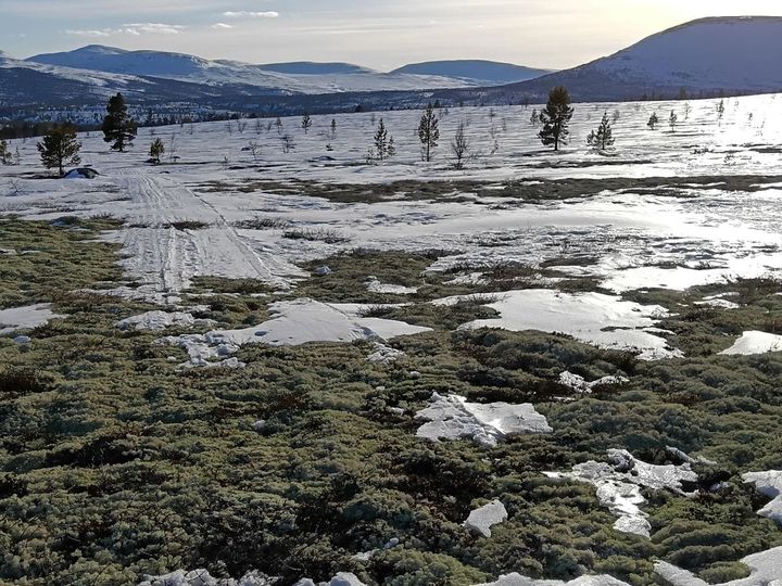 Løypemelding lørdag 22. mars