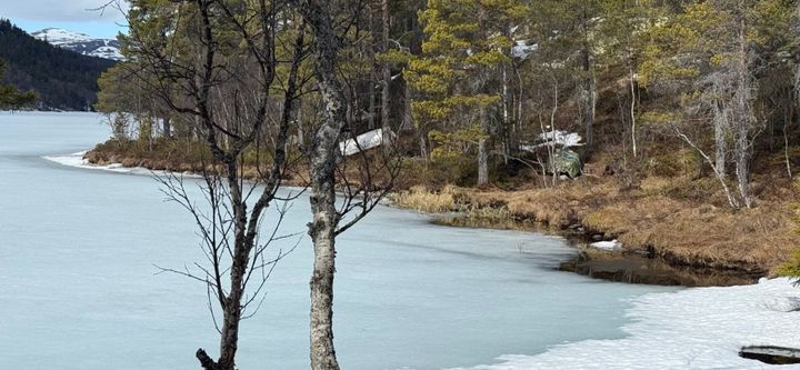Fiskekonkurransen avlyses