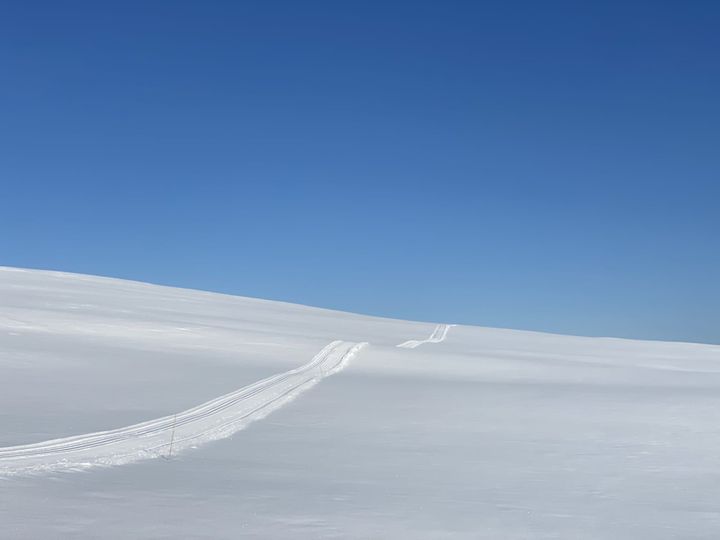 Årsmøte i Bjørkebollen Turforening 11. mai