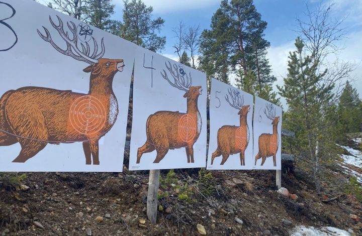 Rekordoppmøte på feltskytinga