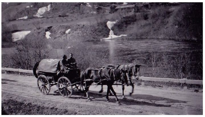 Hesten i fokus - foredrag 5. juli kl. 12.00