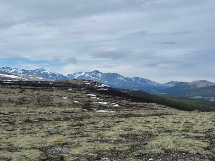 Årsmøte i Sollia bygdeutvalg 3. juni