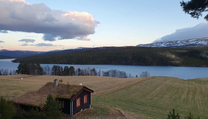 Isen forsvinner tidligere hver vår på innsjøene – hva betyr det for fisken og økosystemene?