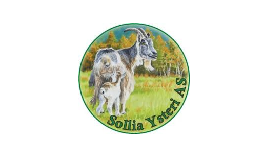 Sollia ysteri og kafé