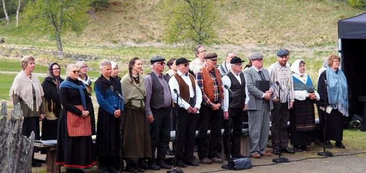 Corvus Corax søker sangere