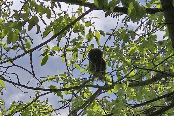 Det yrer av nytt liv