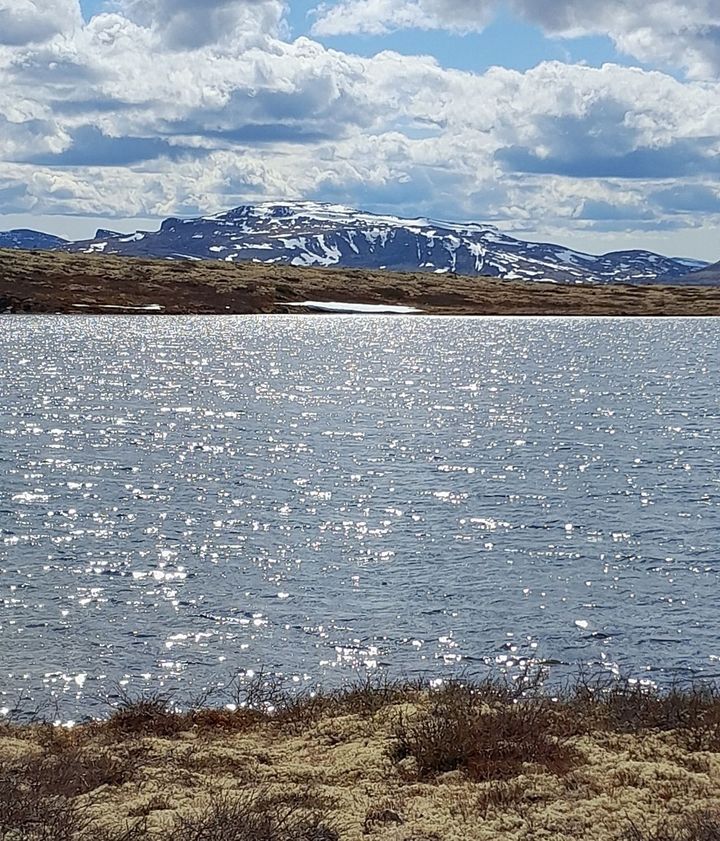 En bitteliten fiskehistorie